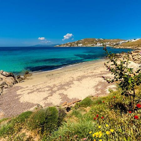 Amorous Luxury Villa Agios Ioannis Diakoftis Ngoại thất bức ảnh